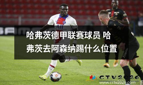 哈弗茨德甲联赛球员 哈弗茨去阿森纳踢什么位置