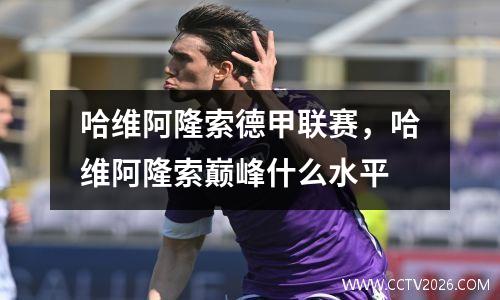 哈维阿隆索德甲联赛，哈维阿隆索巅峰什么水平