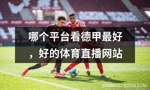 哪个平台看德甲最好，好的体育直播网站