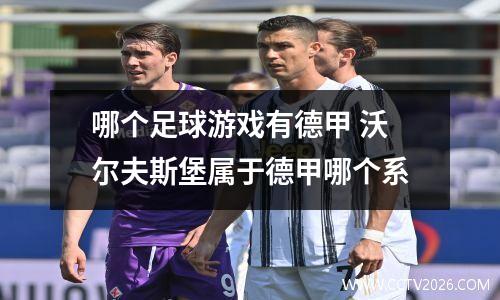 哪个足球游戏有德甲 沃尔夫斯堡属于德甲哪个系