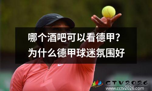 哪个酒吧可以看德甲？为什么德甲球迷氛围好