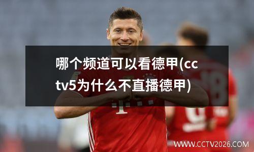 哪个频道可以看德甲(cctv5为什么不直播德甲)
