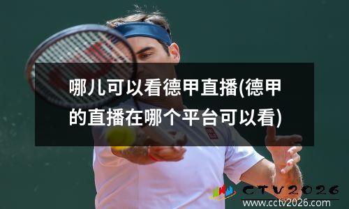 哪儿可以看德甲直播(德甲的直播在哪个平台可以看)