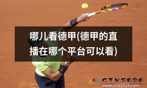 哪儿看德甲(德甲的直播在哪个平台可以看)