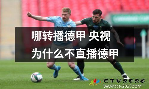 哪转播德甲 央视为什么不直播德甲