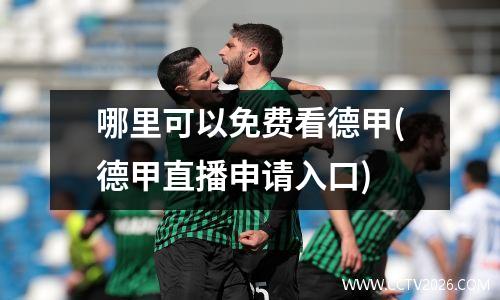 哪里可以免费看德甲(德甲直播申请入口)