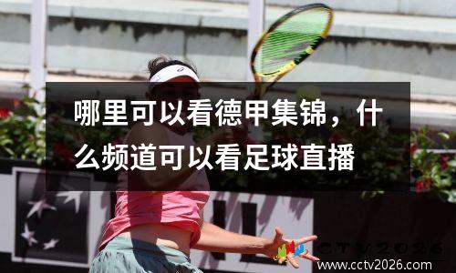 哪里可以看德甲集锦，什么频道可以看足球直播