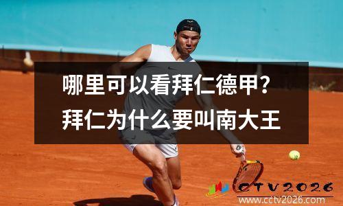 哪里可以看拜仁德甲？拜仁为什么要叫南大王