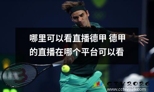 哪里可以看直播德甲 德甲的直播在哪个平台可以看