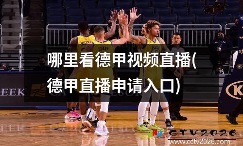 哪里看德甲视频直播(德甲直播申请入口)