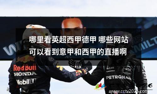 哪里看英超西甲德甲 哪些网站可以看到意甲和西甲的直播啊