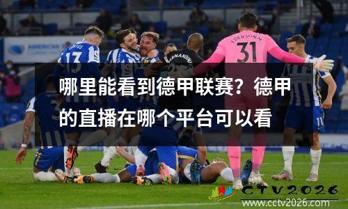 哪里能看到德甲联赛？德甲的直播在哪个平台可以看