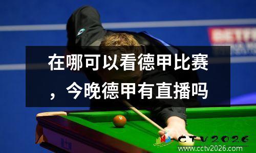 在哪可以看德甲直播(德甲直播申请入口)