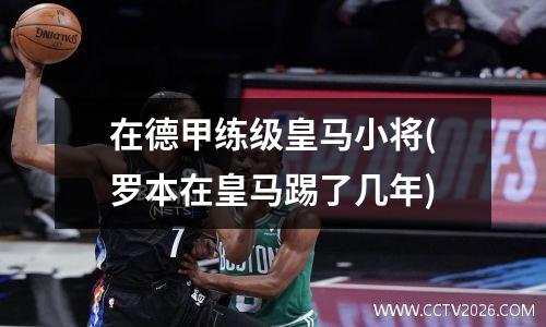 在德甲的西班牙球员 英超德甲意甲西甲区别