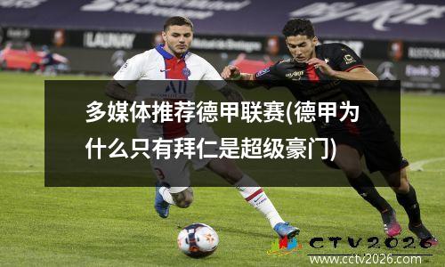 外网去哪看德甲积分，德甲主场积分榜