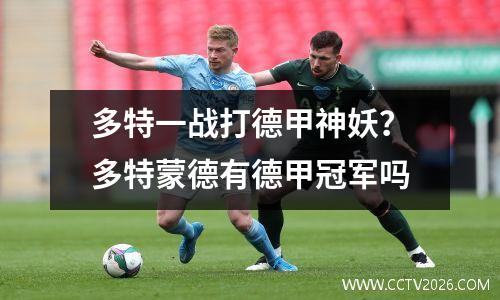 多特一战打德甲神妖？多特蒙德有德甲冠军吗