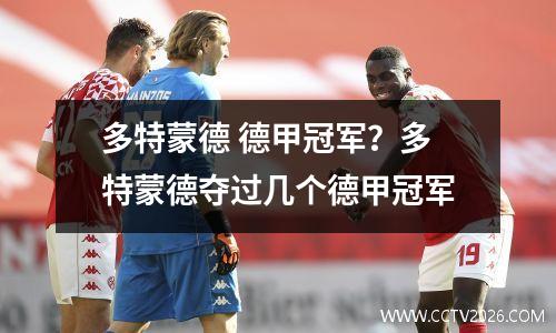 多特蒙德 德甲亚军 德甲1946冠军是谁