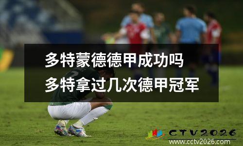 多特蒙德德甲成功吗 多特拿过几次德甲冠军
