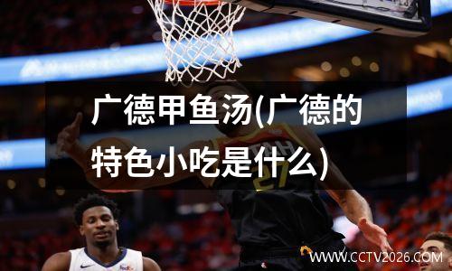 广德甲鱼汤(广德的特色小吃是什么)