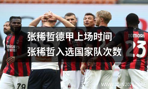 张稀哲德甲上场时间 张稀哲入选国家队次数
