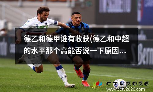 德乙和德甲谁有收获(德乙和中超的水平那个高能否说一下原因)