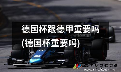 德国杯跟德甲重要吗(德国杯重要吗)