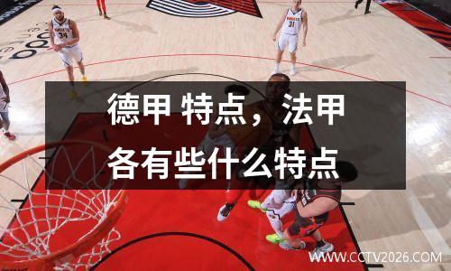 德甲 特点，法甲各有些什么特点