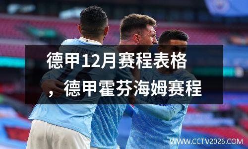 德甲12月赛程表格，德甲霍芬海姆赛程