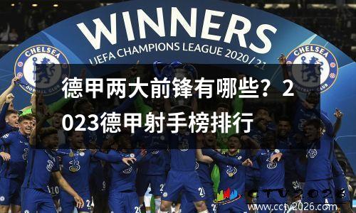 德甲两大前锋有哪些？2023德甲射手榜排行