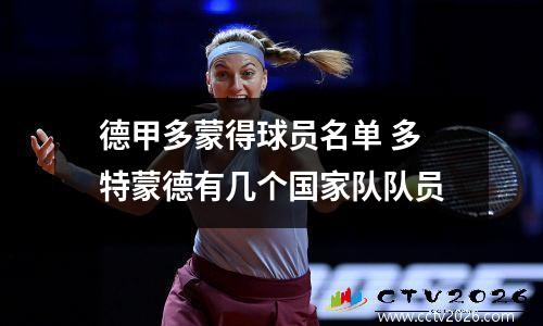 德甲多蒙得球员名单 多特蒙德有几个国家队队员