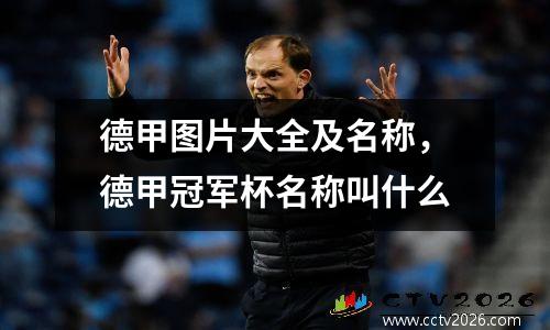 德甲图片大全及名称，德甲冠军杯名称叫什么