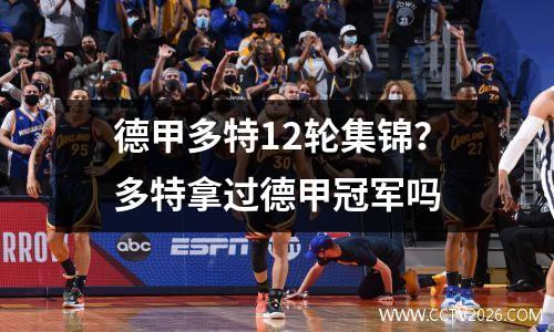 德甲多特12轮集锦？多特拿过德甲冠军吗