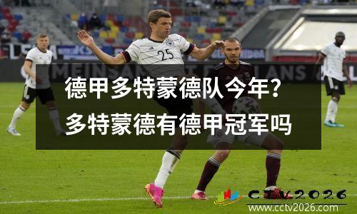 德甲多特蒙德队今年？多特蒙德有德甲冠军吗