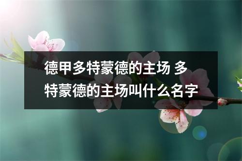 德甲多特蒙德的主场 多特蒙德的主场叫什么名字