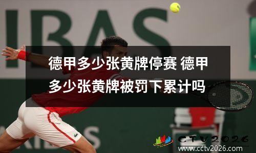 德甲多少张黄牌停赛 德甲多少张黄牌被罚下累计吗
