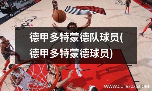 德甲多特蒙德队球员(德甲多特蒙德球员)