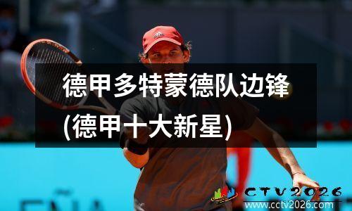 德甲多特蒙德队边锋(德甲十大新星)