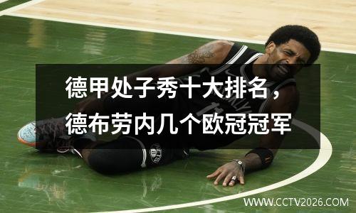 德甲处子秀十大排名，德布劳内几个欧冠冠军