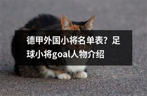 德甲外国小将名单表？足球小将goal人物介绍