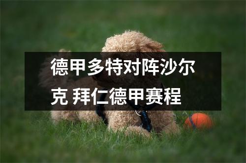 德甲多特对阵沙尔克 拜仁德甲赛程