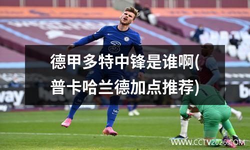 德甲多特中锋是谁啊(普卡哈兰德加点推荐)