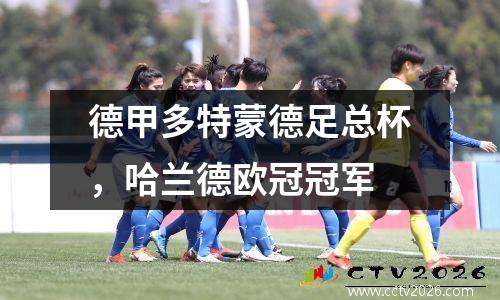 德甲多特蒙德足总杯，哈兰德欧冠冠军