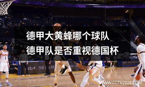 德甲大黄蜂哪个球队 德甲队是否重视德国杯