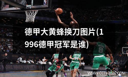 德甲大黄蜂换刀图片(1996德甲冠军是谁)