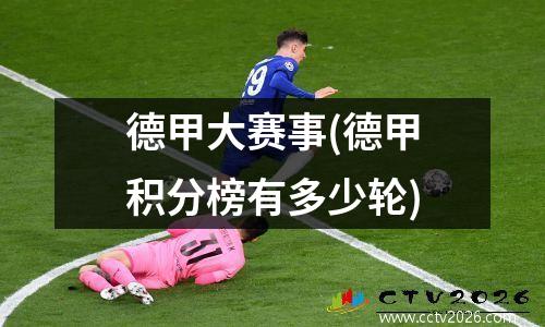 德甲大赛事(德甲积分榜有多少轮)