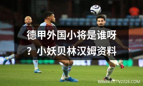 德甲外国小将是谁呀？小妖贝林汉姆资料