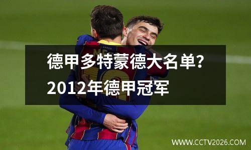 德甲多特蒙德大名单？2012年德甲冠军