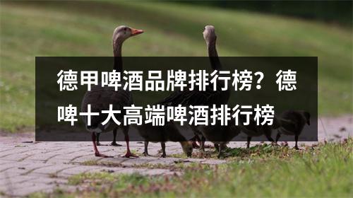 德甲啤酒品牌排行榜？德啤十大高端啤酒排行榜