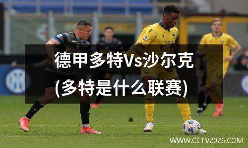 德甲多特Vs沙尔克(多特是什么联赛)