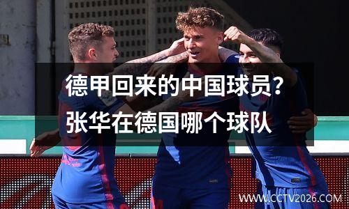 德甲回来的中国球员？张华在德国哪个球队